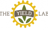 The Yield Lab Europe